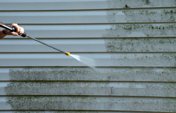 Best House Pressure Washing  in Danville, IA