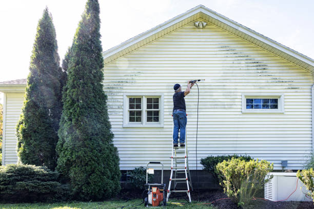 Best Sidewalk Pressure Washing  in Danville, IA