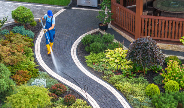 Best Affordable Power Washing  in Danville, IA